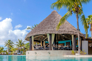 Palapa